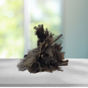 Feather Duster - Long